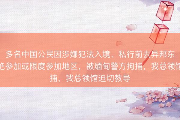 多名中国公民因涉嫌犯法入境、私行前去异邦东说念主谢绝参加或限度参加地区，被缅甸警方拘捕，我总领馆迫切教导